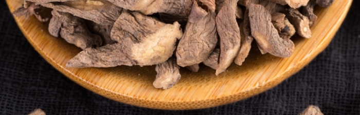 蒲公英根補(bǔ)品食品淘寶主圖直通車模板
