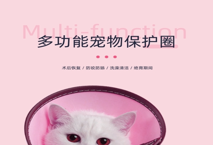伊麗莎白圈保護圈寵物鮮花詳情頁