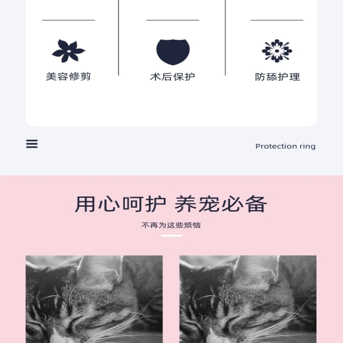 伊麗莎白圈保護圈寵物鮮花詳情頁