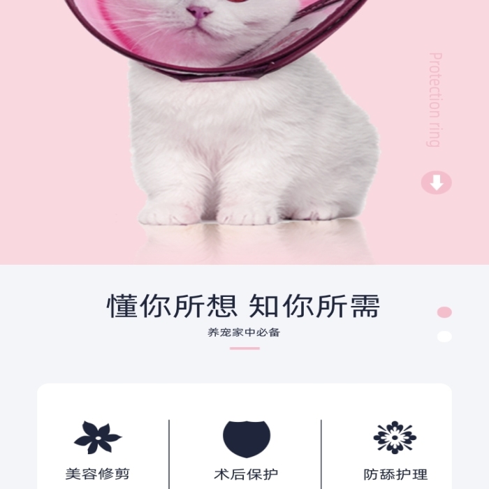 伊麗莎白圈保護圈寵物鮮花詳情頁