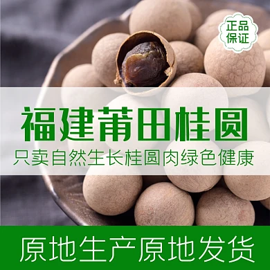 干货桂圆龙眼年货食品淘宝主图直通车模板