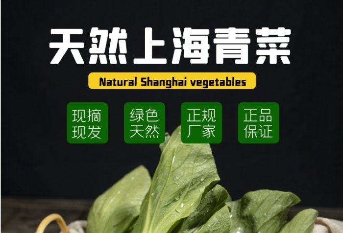 上海青菜蔬菜食品淘寶主圖直通車模板