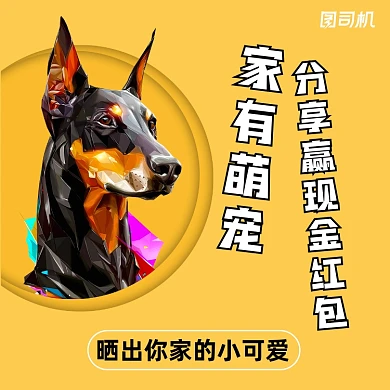 晒宠物活动简约清新手机方图