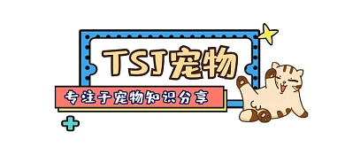 宠物萌宠可爱插画公众号logo