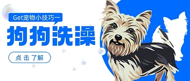 如何为狗狗洗澡宠物技能学习首图