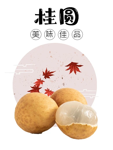 桂圆干货食品淘宝主图直通车模板