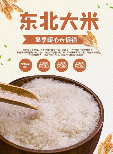 东北大米冬季促销印刷海报