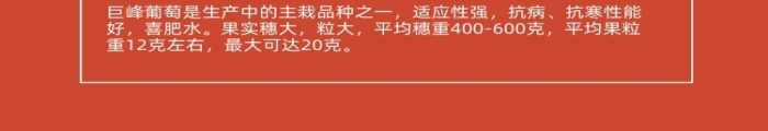 暖寶寶暖手寶生活日用詳情頁(yè)