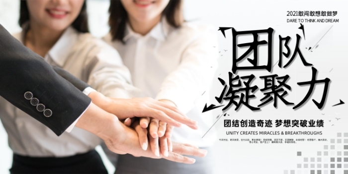 團(tuán)隊凝聚力簡約企業(yè)文化勵志展板