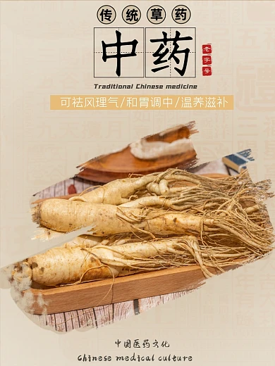 中药温补类淘宝直通车人参主图