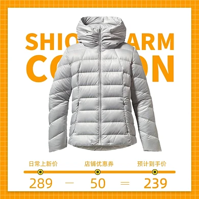 冬季男装羽绒服简约促销价格条主图