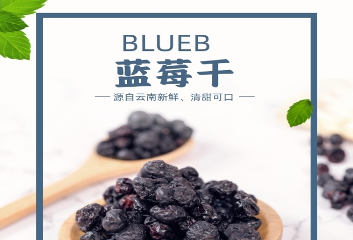 藍莓干藍莓水果果脯零食詳情頁