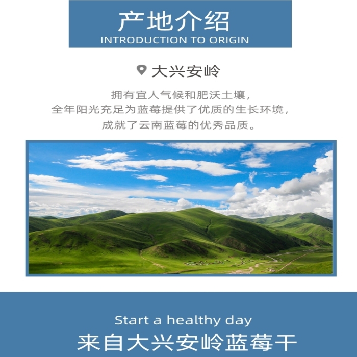 藍莓干藍莓水果果脯零食詳情頁