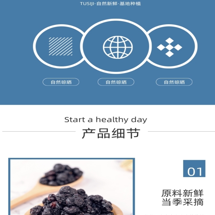 藍莓干藍莓水果果脯零食詳情頁