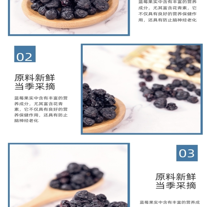 藍莓干藍莓水果果脯零食詳情頁