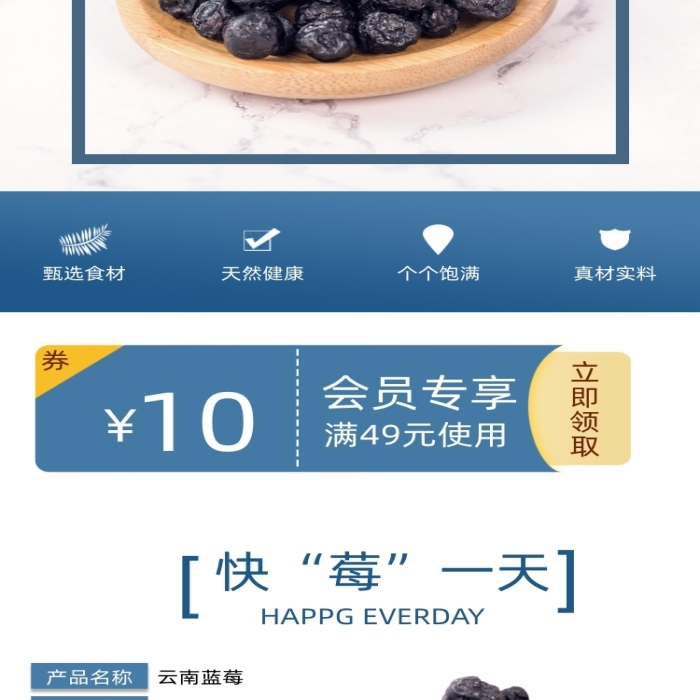 藍莓干藍莓水果果脯零食詳情頁