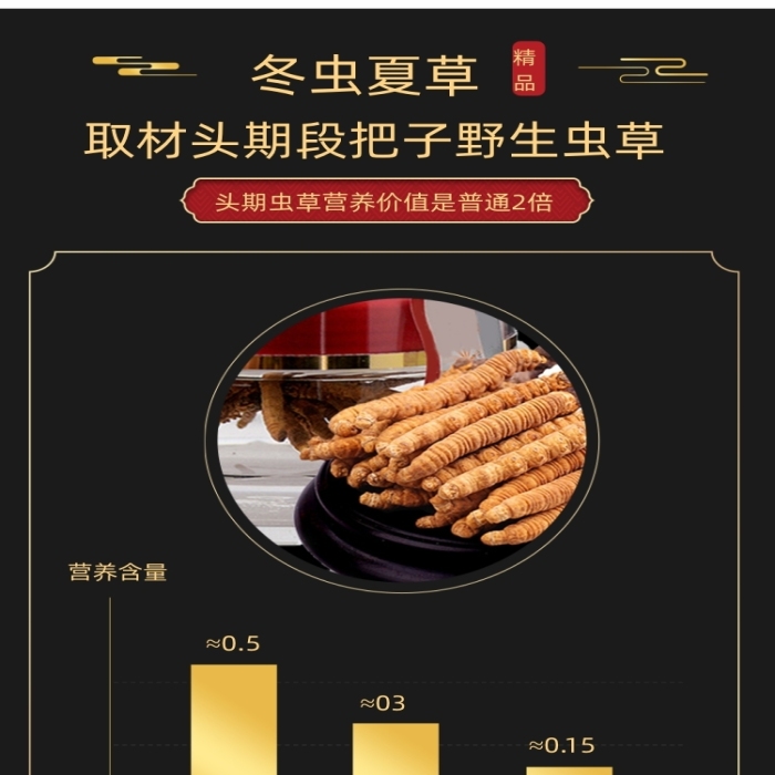 冬蟲夏草中藥保健詳情頁