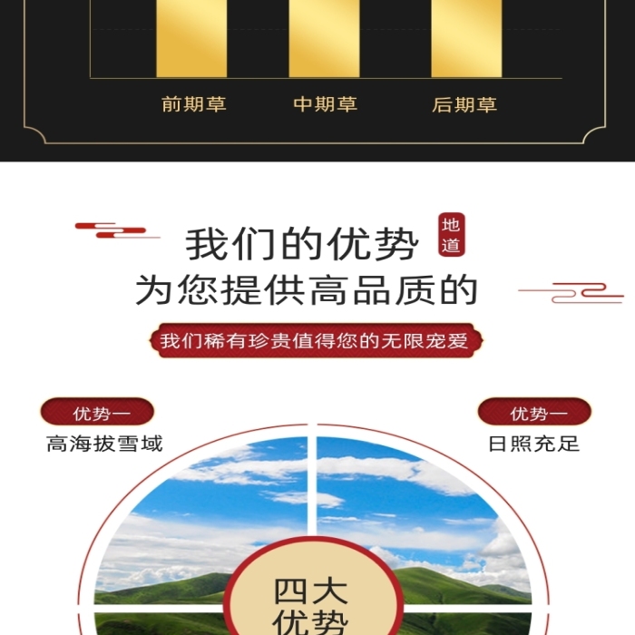 冬蟲夏草中藥保健詳情頁