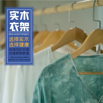 衣架日用品淘宝主图直通车模板