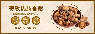 电商干货香菇促销海报