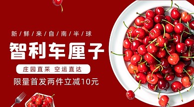 智利車?yán)遄用朗炒黉N廣告banner
