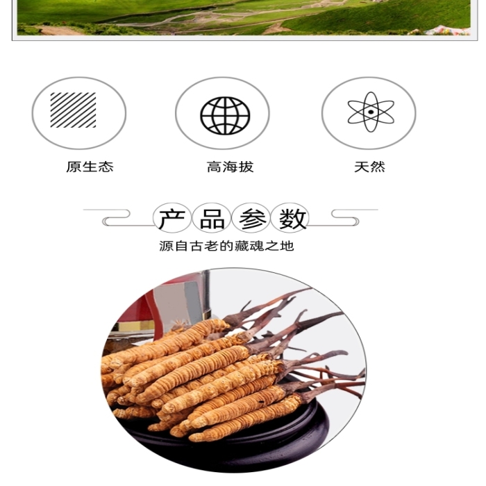 冬蟲夏草中藥保健詳情頁