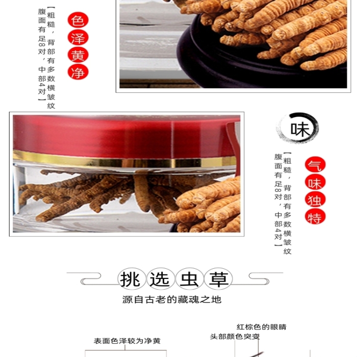 冬蟲夏草中藥保健詳情頁