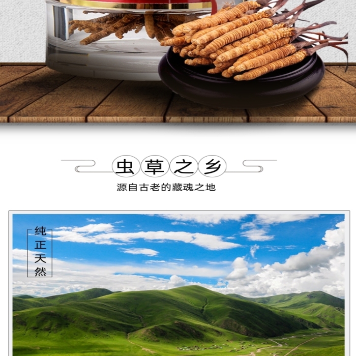 冬蟲夏草中藥保健詳情頁