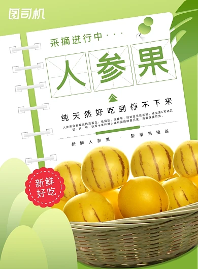 人参果长寿果新鲜黄色水果印刷海报