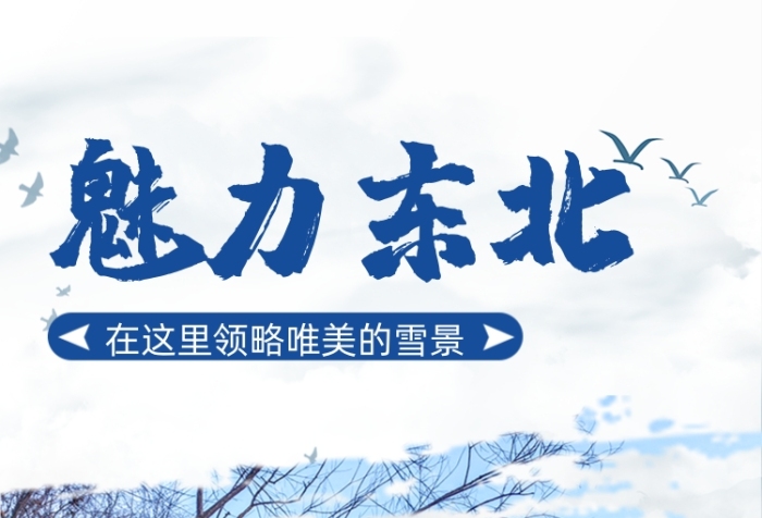 魅力東北旅行大氣簡約手機(jī)海報(bào)
