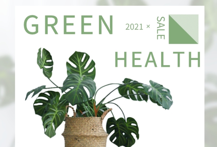 綠植清新盆栽半價起售主圖直通車