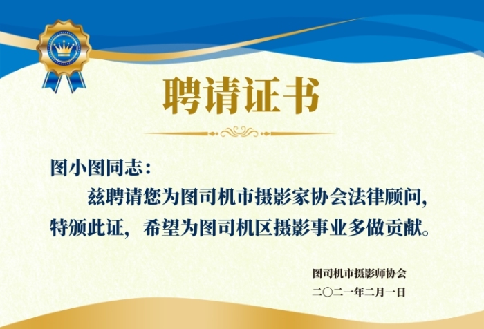 攝影協(xié)會藍色底紋質(zhì)感聘請證書
