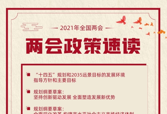 兩會政策宣導(dǎo)紅色宣傳手機(jī)海報(bào)