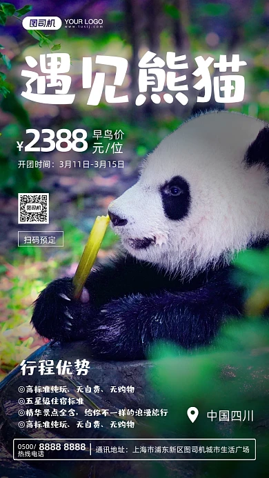 旅行熊猫摄影图手机海报