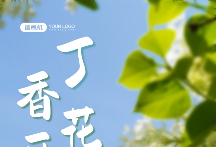 丁香花賞花綠色春游攝影圖手機海報