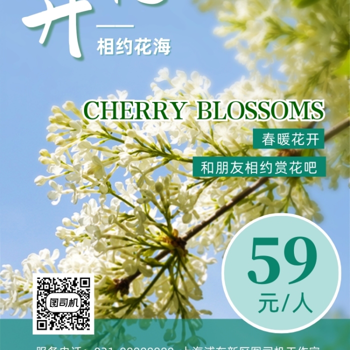 丁香花賞花綠色春游攝影圖手機海報