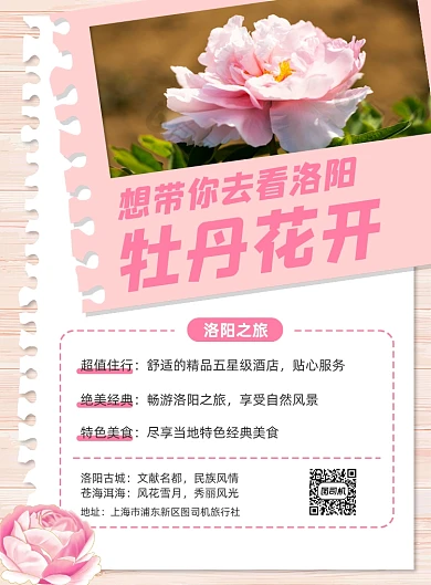 牡丹花开粉色旅游活动印刷海报