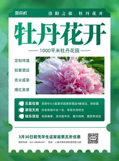 牡丹花开绿色旅行社活动印刷海报