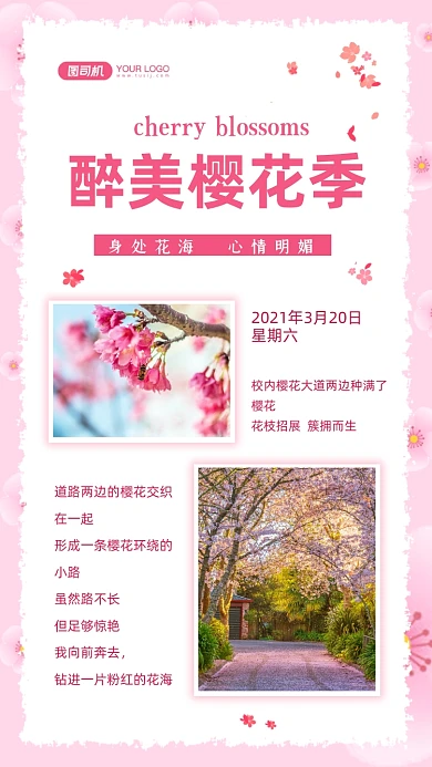 樱花旅游相册晒图文艺清新手机海报