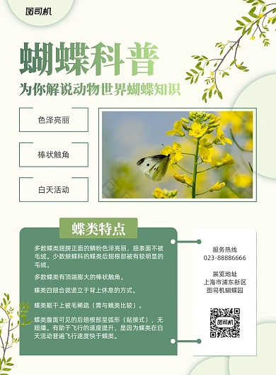 蝴蝶科普绿色简约知识讲解印刷海报