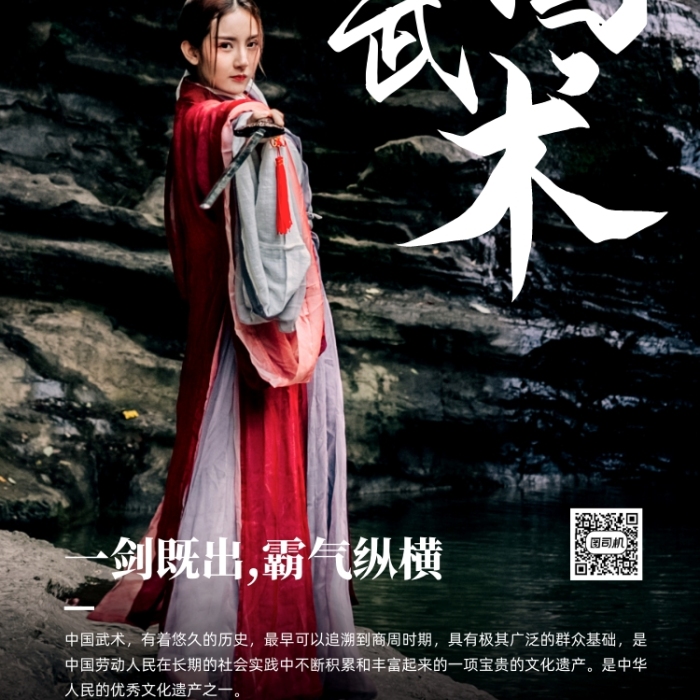 中國(guó)武術(shù)文化舞劍攝影圖宣傳手機(jī)海報(bào)