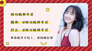 微信公众号尾部红色年轻时尚可爱作者名片