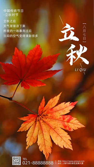 立秋秋天节气枫叶红枫摄影图海报