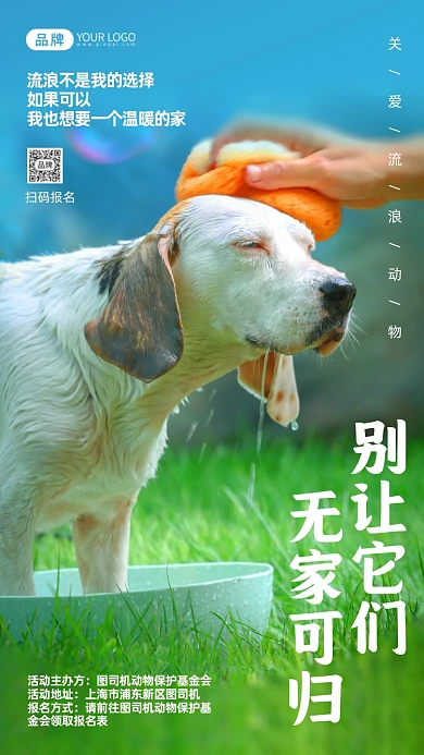 保护流浪动物公益宣传摄影图海报