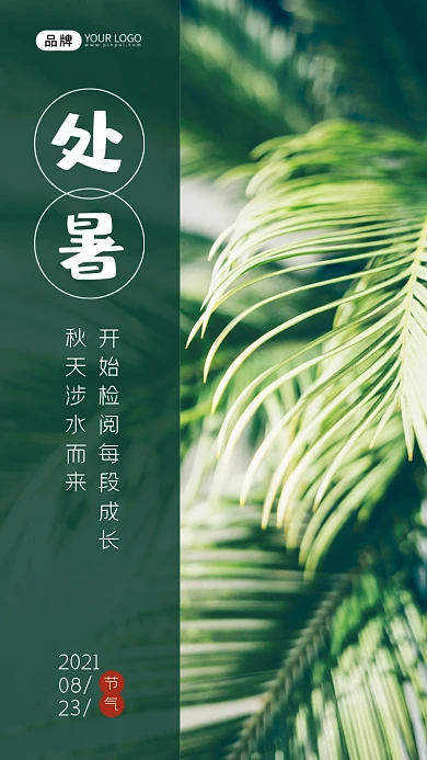 处暑节气叶子绿色清新阳光夏天