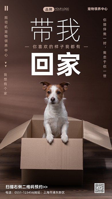 寵物領(lǐng)養(yǎng)中心宣傳攝影圖海報(bào)