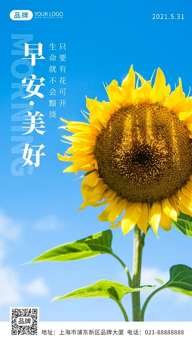 唯美向日葵清新励志摄影图海报