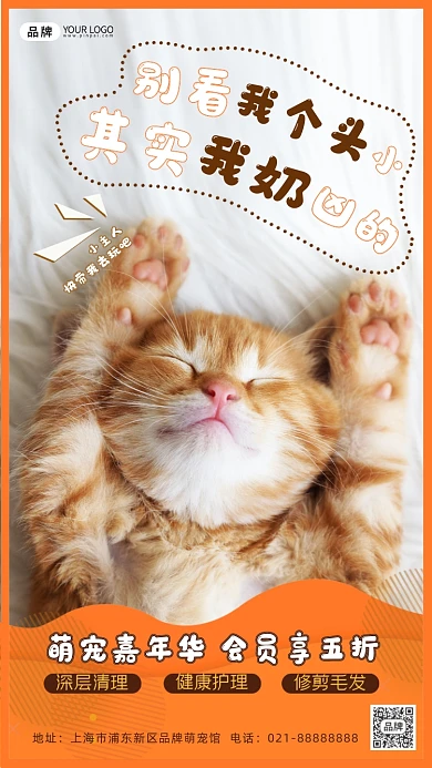 宠物店活动促销摄影图海报