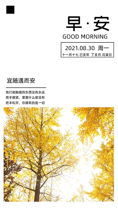 秋天你好清新自然早安问候摄影图海报