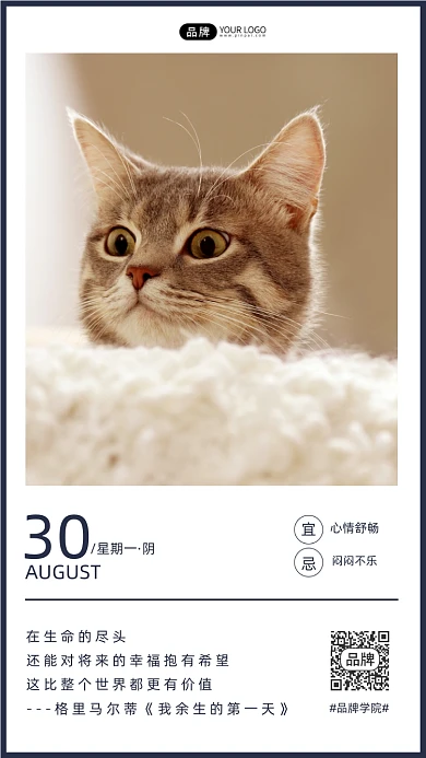 青春励志可爱猫猫咪日签摄影图海报